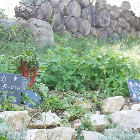 Zecamp Hotel *